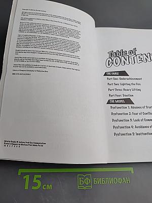 The Five Dysfunctions of a Team (Manga Edition): An Illustrated Leadership Fable