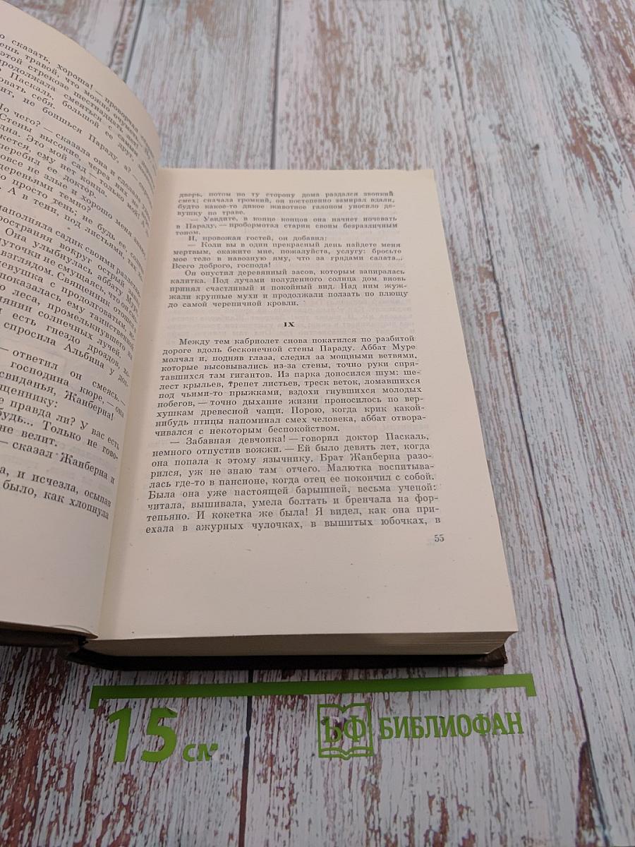 Собрание сочинений. Том пятый. Проступок аббата Муре. Его превосходительство Эжен Ругон