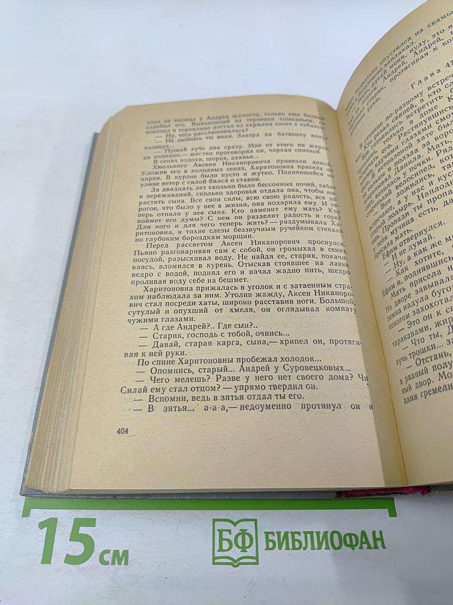 Перед грозой