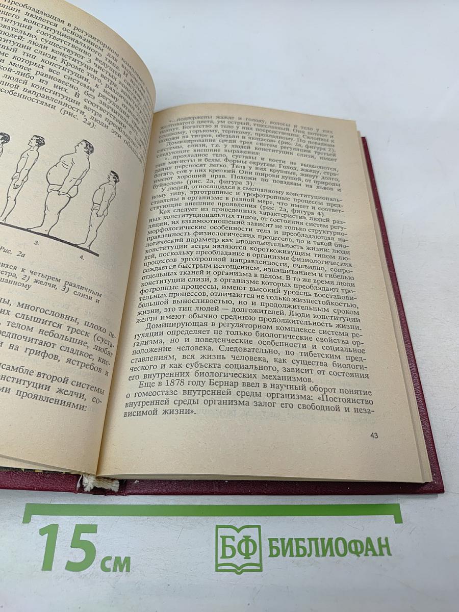 Тибетская медицина