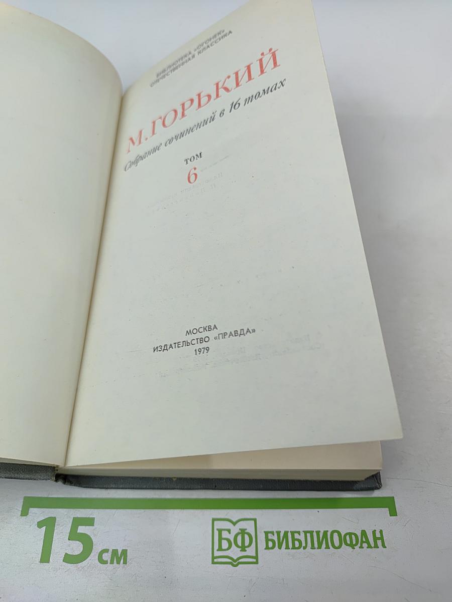 Собрание сочинений в 16 томах. Том 6: Жизнь Матвея Кожемякина