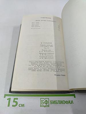Собрание сочинений в 16 томах. Том 6: Жизнь Матвея Кожемякина