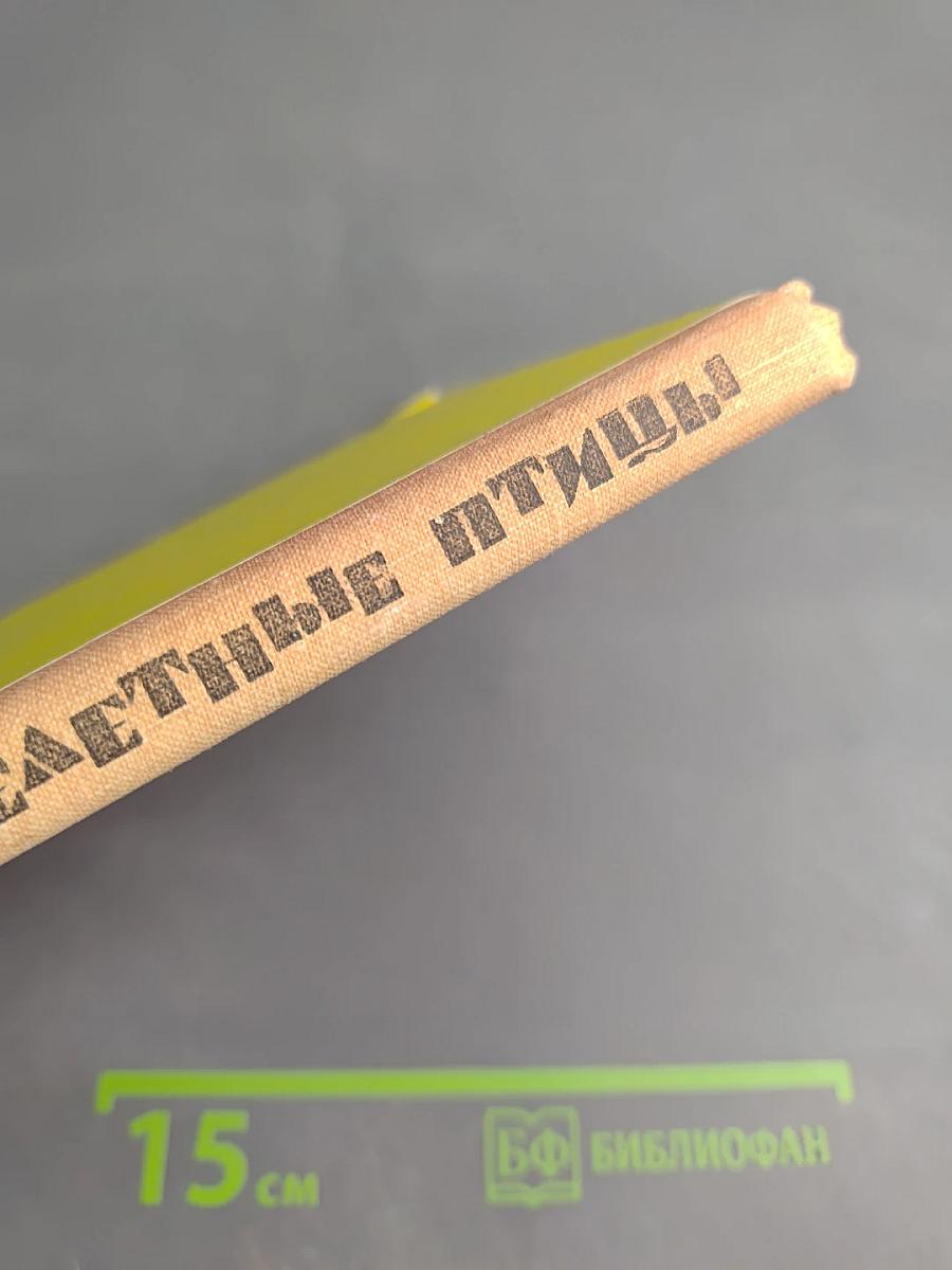 Перелетные птицы