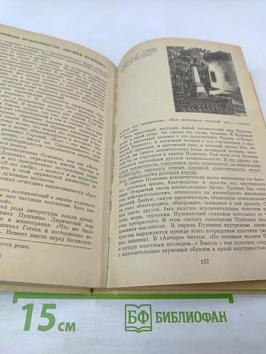 Русская литература. Учебник для восьмого класса средней школы
