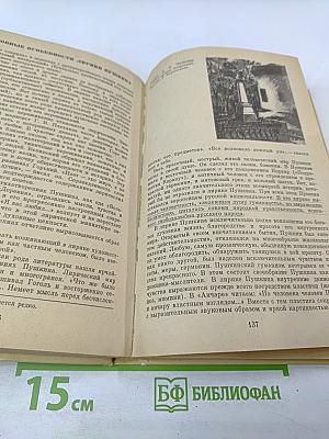 Русская литература. Учебник для восьмого класса средней школы