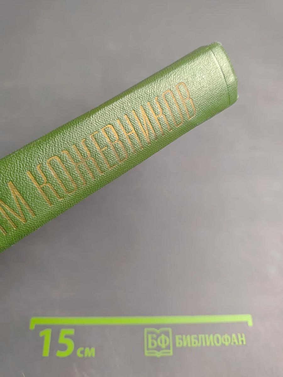 Щит и меч. Собрание сочинений. Том пятый. Книга первая