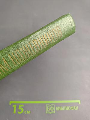 Щит и меч. Собрание сочинений. Том пятый. Книга первая