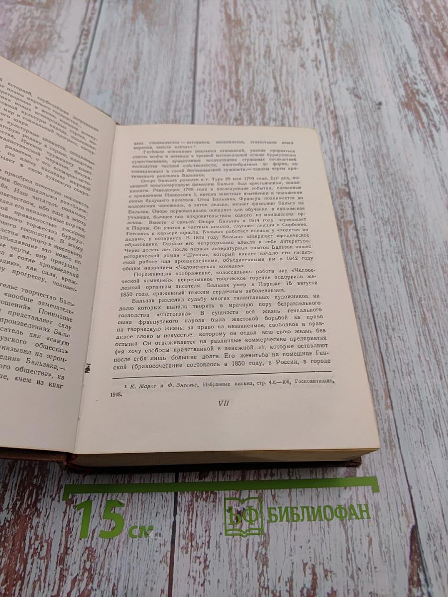 Человеческая комедия. Очерки частной жизни. Том 1