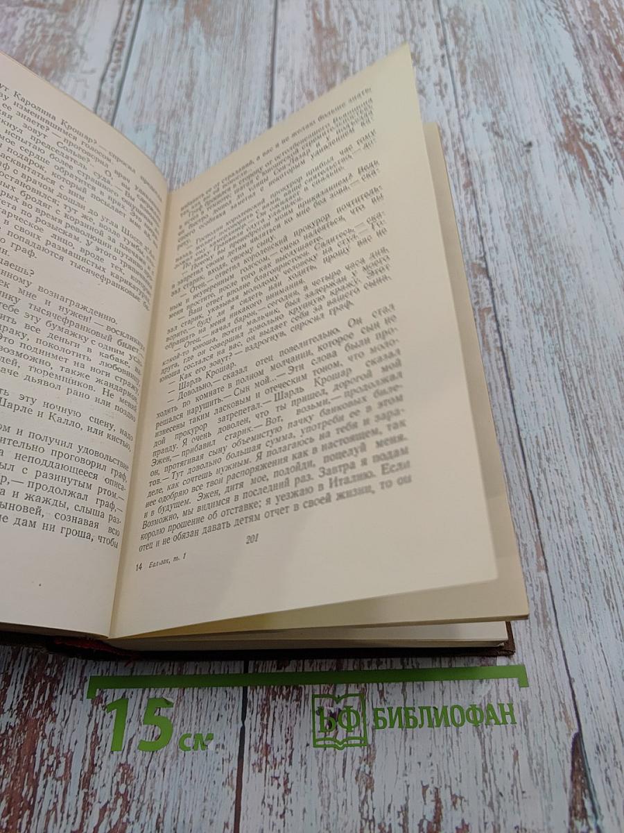 Человеческая комедия. Очерки частной жизни. Том 1