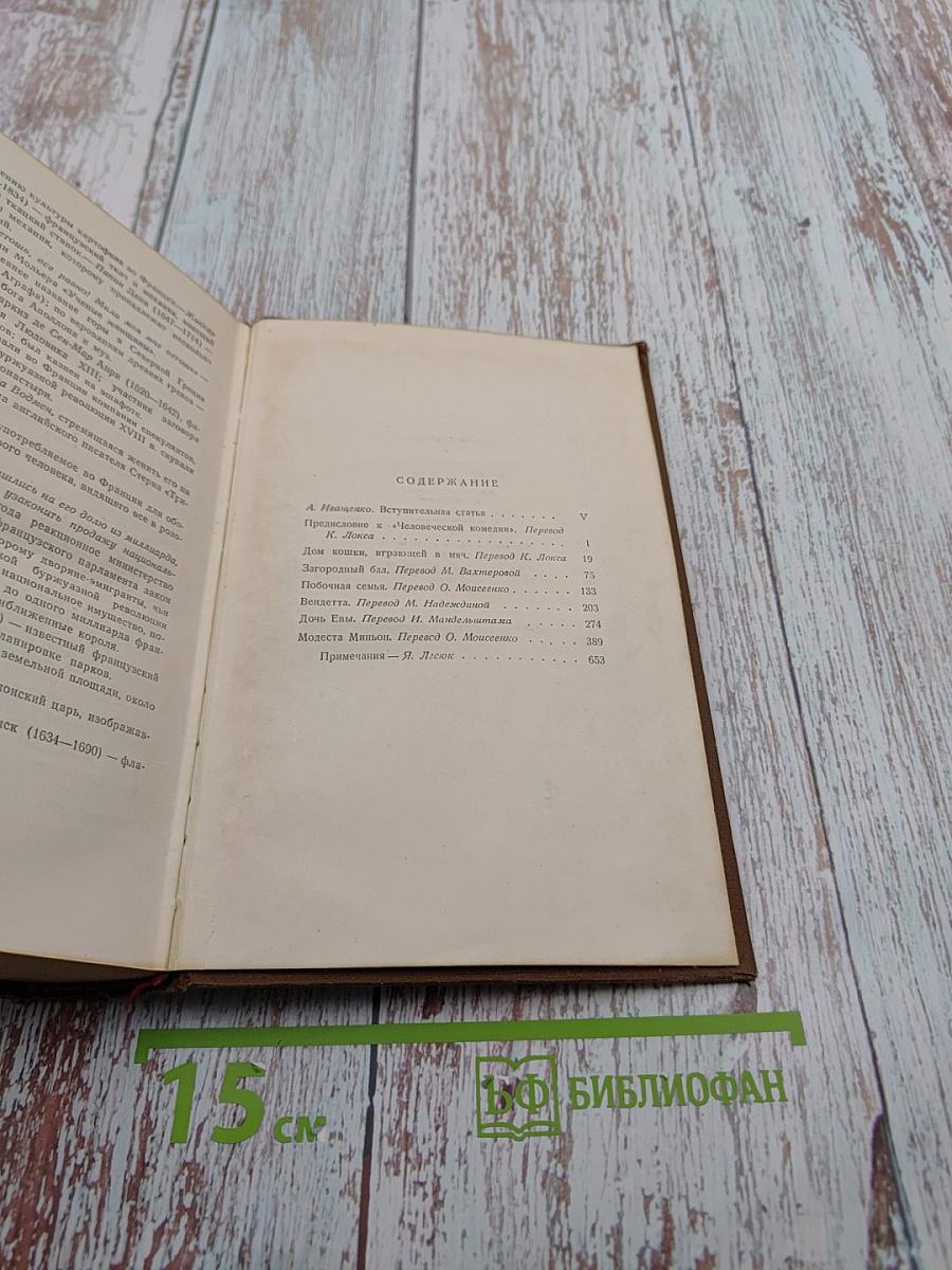 Человеческая комедия. Очерки частной жизни. Том 1