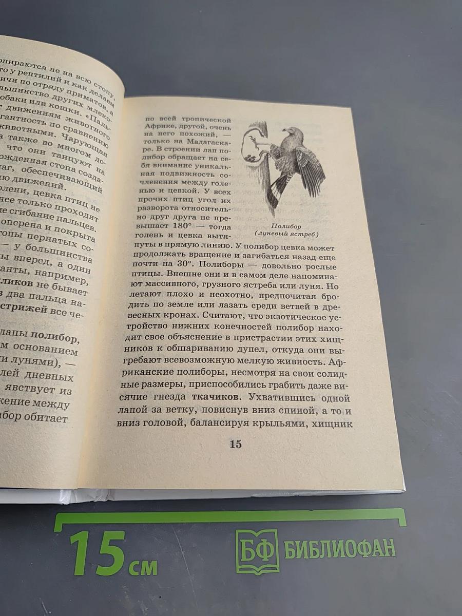 Я познаю мир. Детская энциклопедия. Птицы