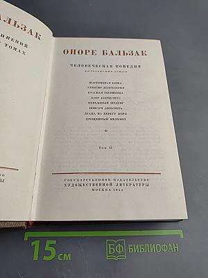 Философские этюды. Том 13