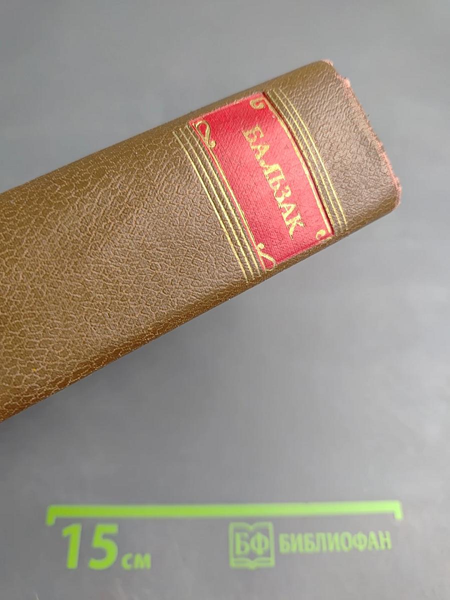 Философские этюды. Том 13