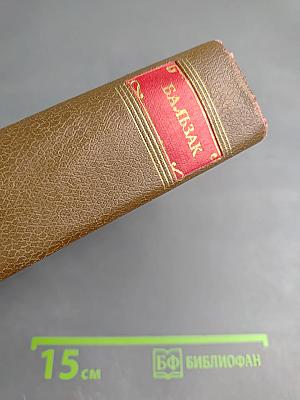 Философские этюды. Том 13