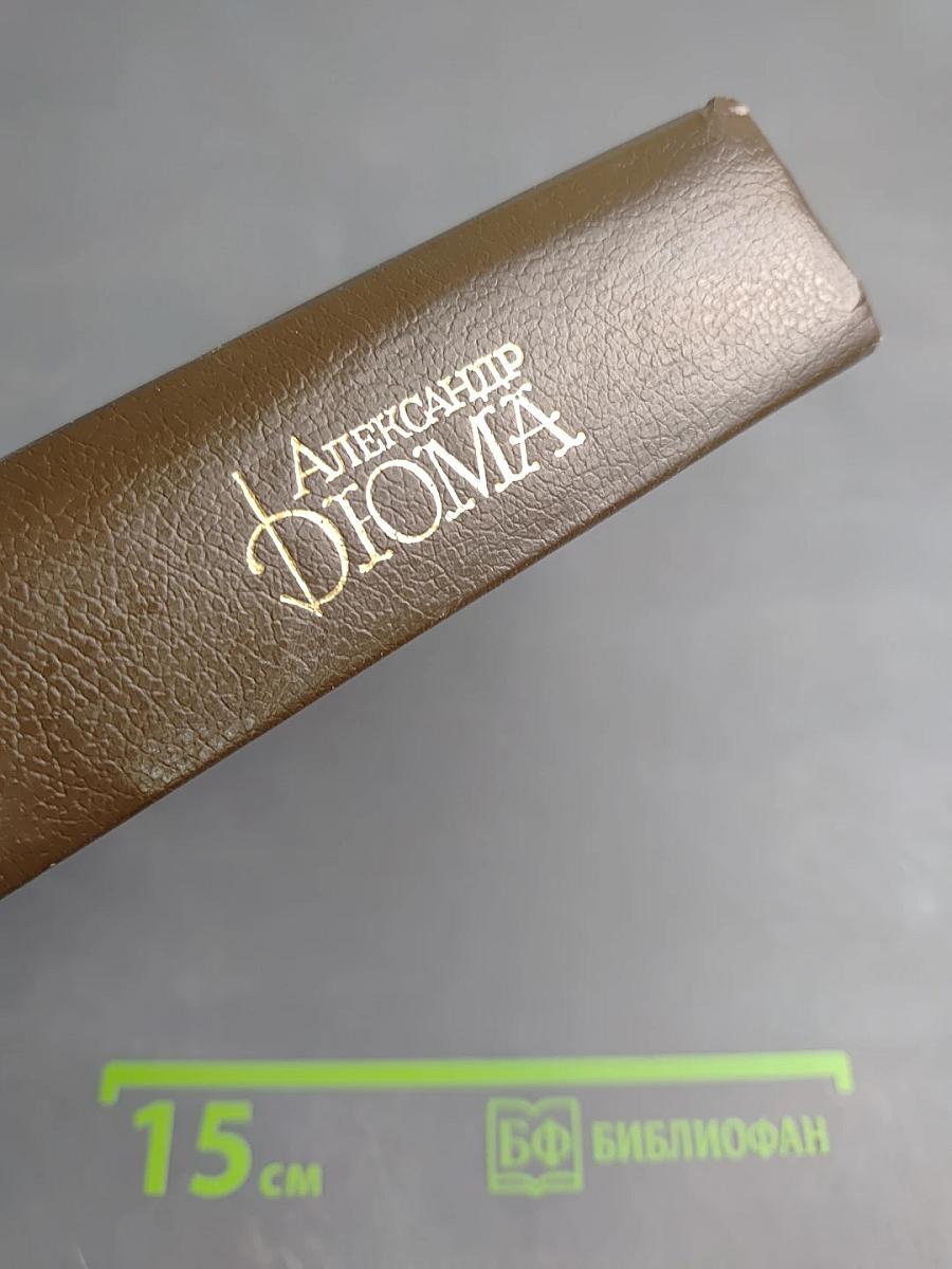 Джузеппе Бальзамо (Записки врача). Том 5