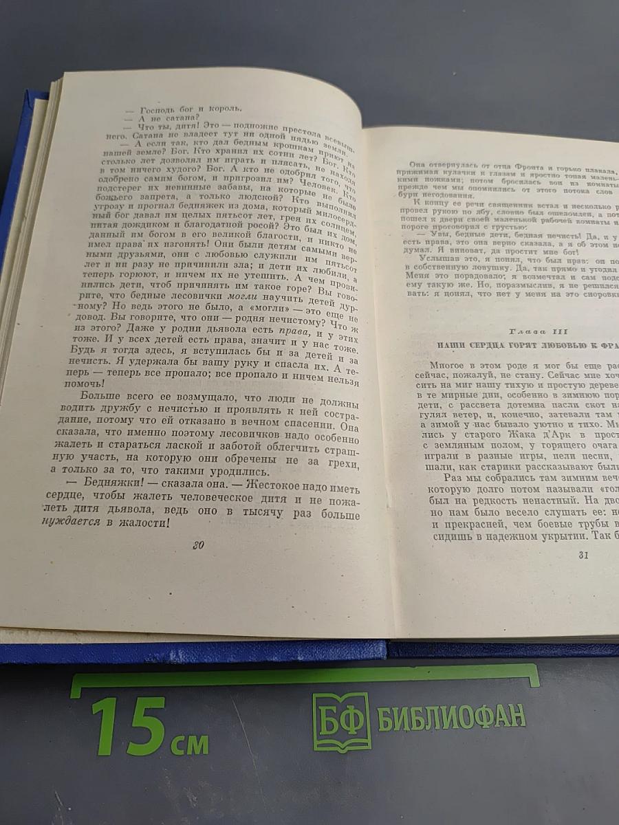 Собрание сочинений. Том восьмой: Личные воспоминания о Жанне д'Арк. Том Сойер — сыщик
