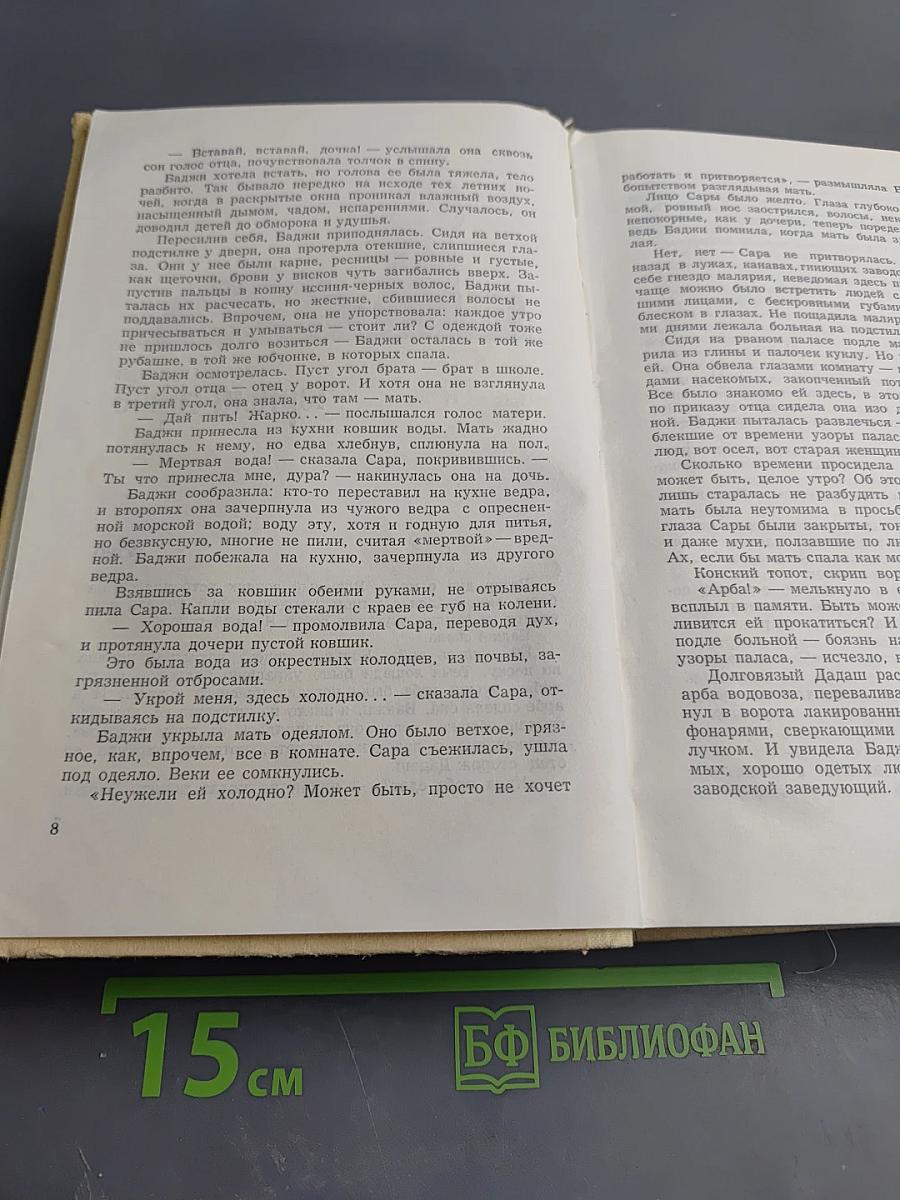 Младшая сестра