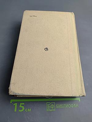 Младшая сестра