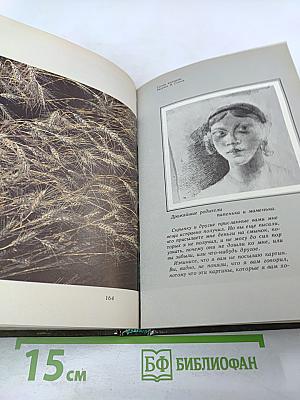 Н. В. Гоголь на Полтавщине. В земле моей юности...