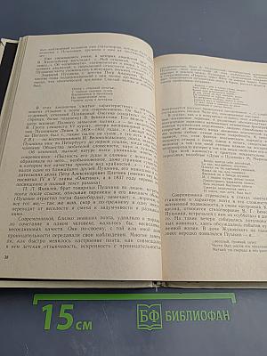 Образ, бережно хранимый: Жизнь Пушкина в памяти поколений