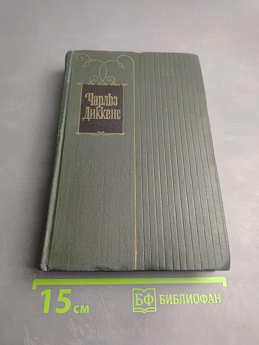 Жизнь и приключения Мартина Чеззлвита. Том десятый