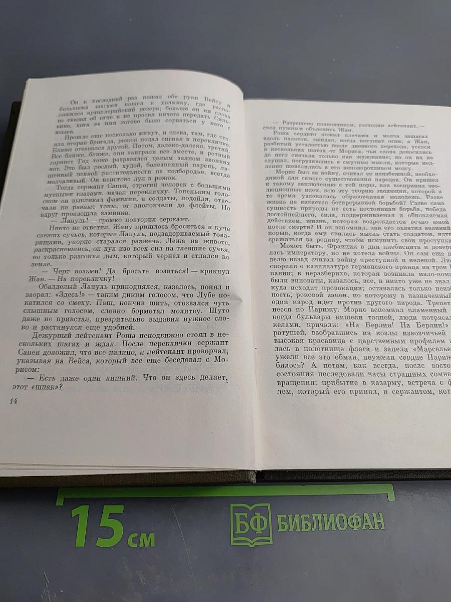 Собрание сочинений. Том пятнадцатый. Разгром