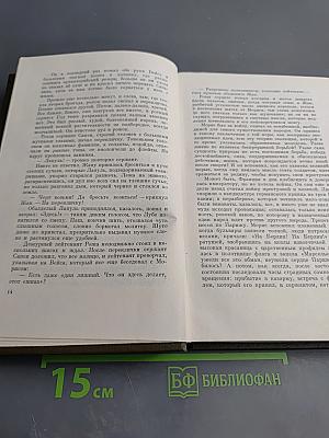 Собрание сочинений. Том пятнадцатый. Разгром