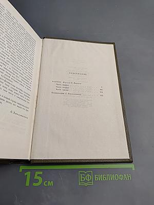 Собрание сочинений. Том пятнадцатый. Разгром