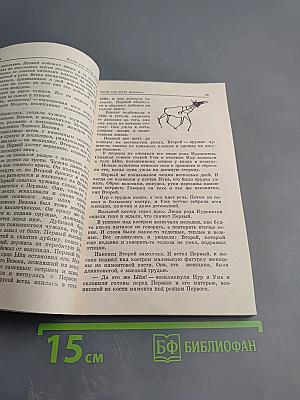 Женский лик Земли