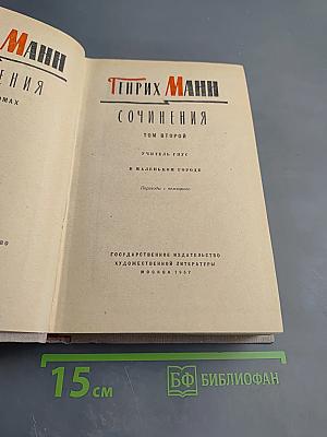 Сочинения. Том 2. Учитель Гнус. В маленьком городе