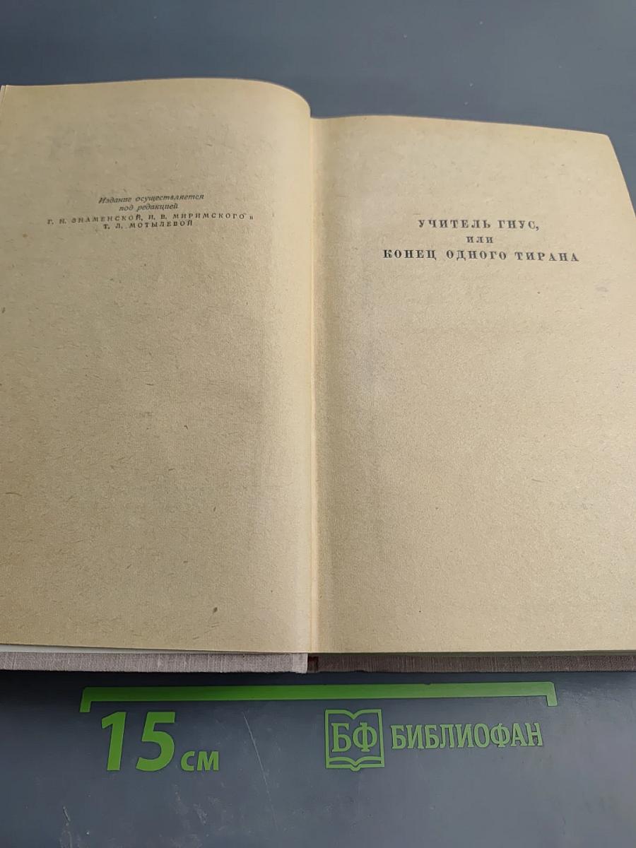 Сочинения. Том 2. Учитель Гнус. В маленьком городе