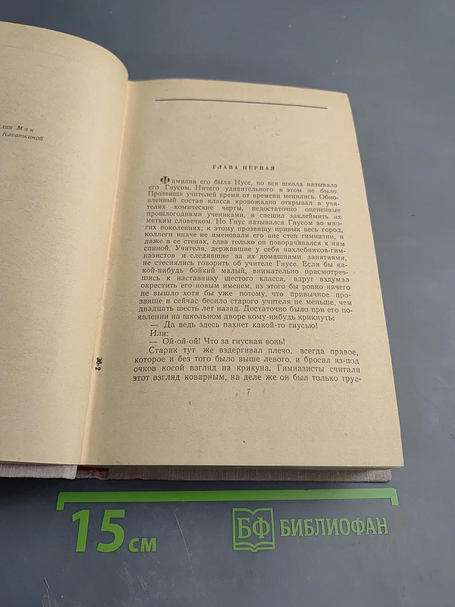 Сочинения. Том 2. Учитель Гнус. В маленьком городе