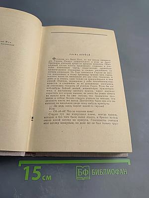 Сочинения. Том 2. Учитель Гнус. В маленьком городе