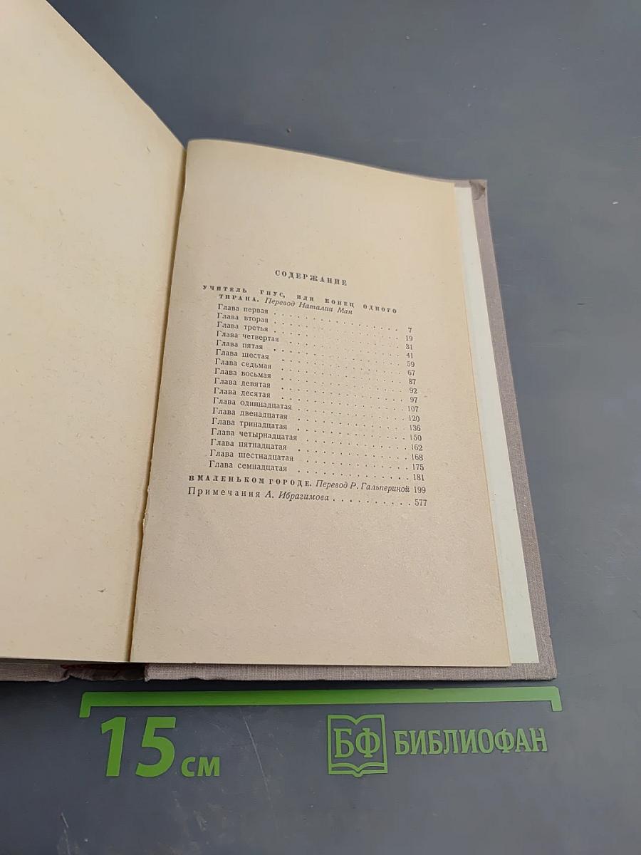Сочинения. Том 2. Учитель Гнус. В маленьком городе