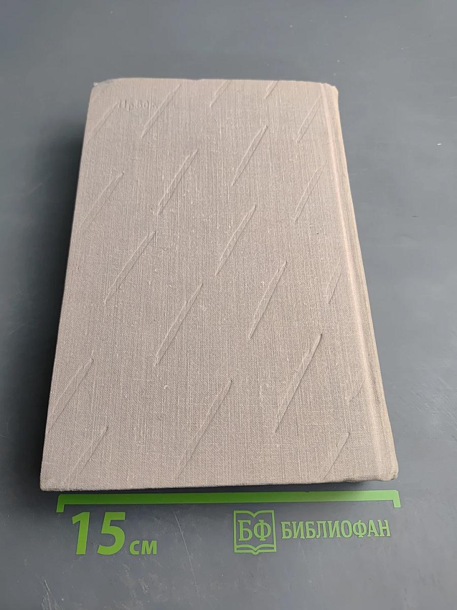 Сочинения. Том 2. Учитель Гнус. В маленьком городе