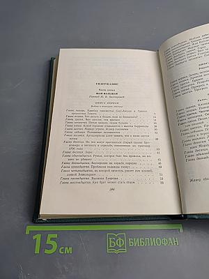 Отверженные. Часть пятая. Том восьмой