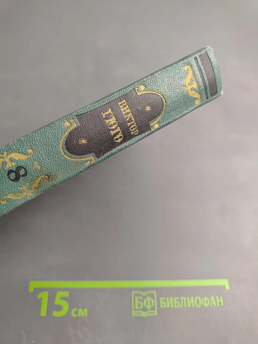 Отверженные. Часть пятая. Том восьмой