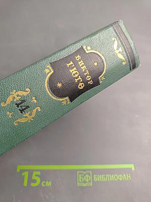 Виктор Гюго. Том четырнадцатый: Критические статьи, очерки, письма