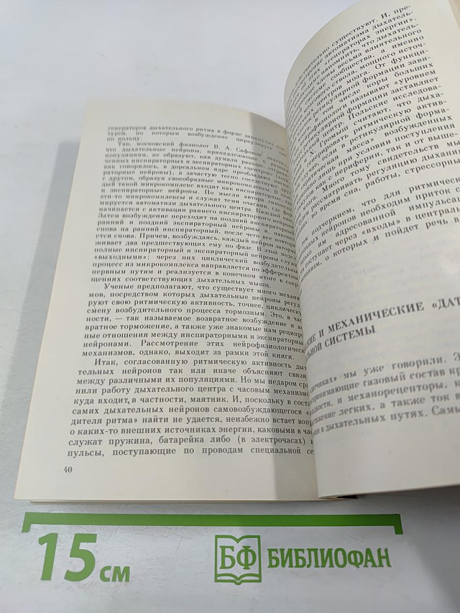 Как управляется дыхание человека