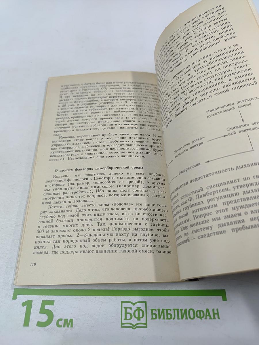 Как управляется дыхание человека