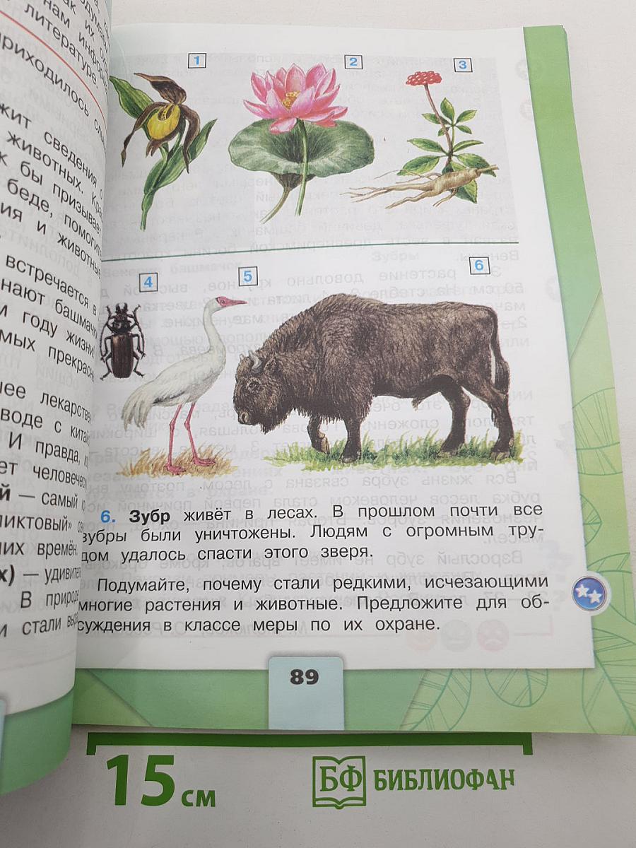 Окружающий мир 2 класс. Часть 1