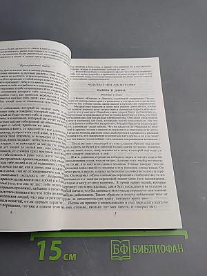 Зеркало мира