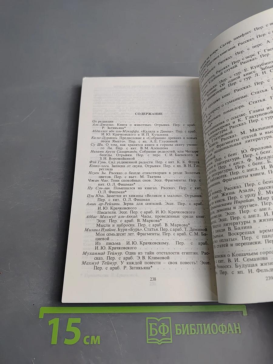 Зеркало мира