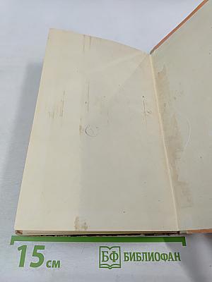 200 дней в тылу врага