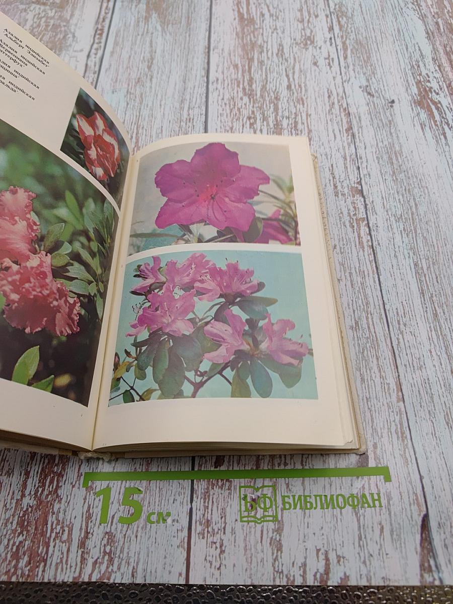 Комнатное цветоводство