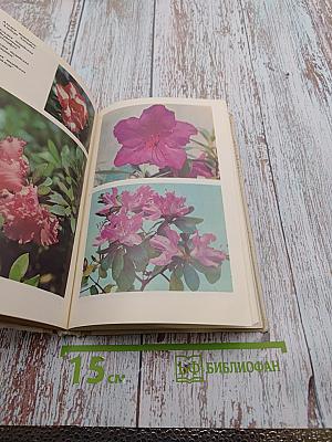 Комнатное цветоводство