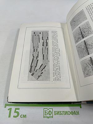 Атомное ядро