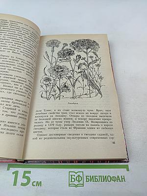 Волшебный мир цветов