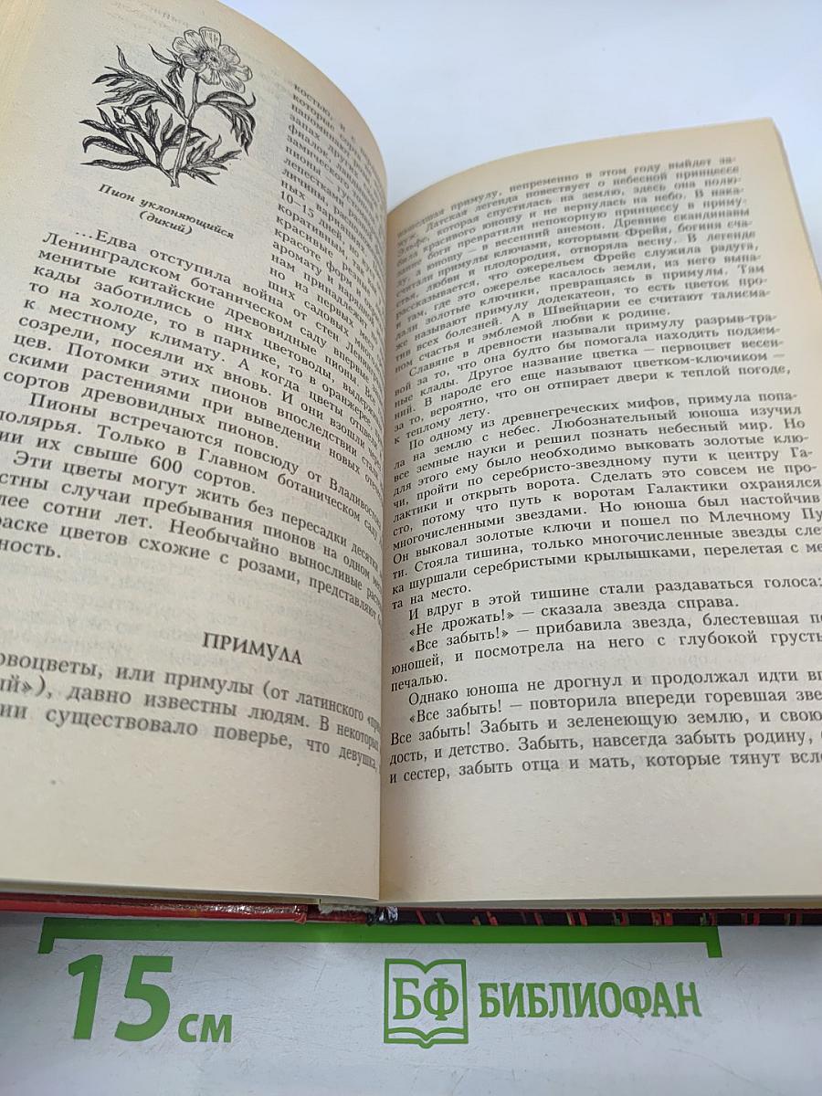 Волшебный мир цветов