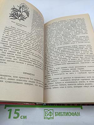 Волшебный мир цветов